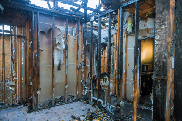 Professional Fire Damage Removal technician working in West River, MD